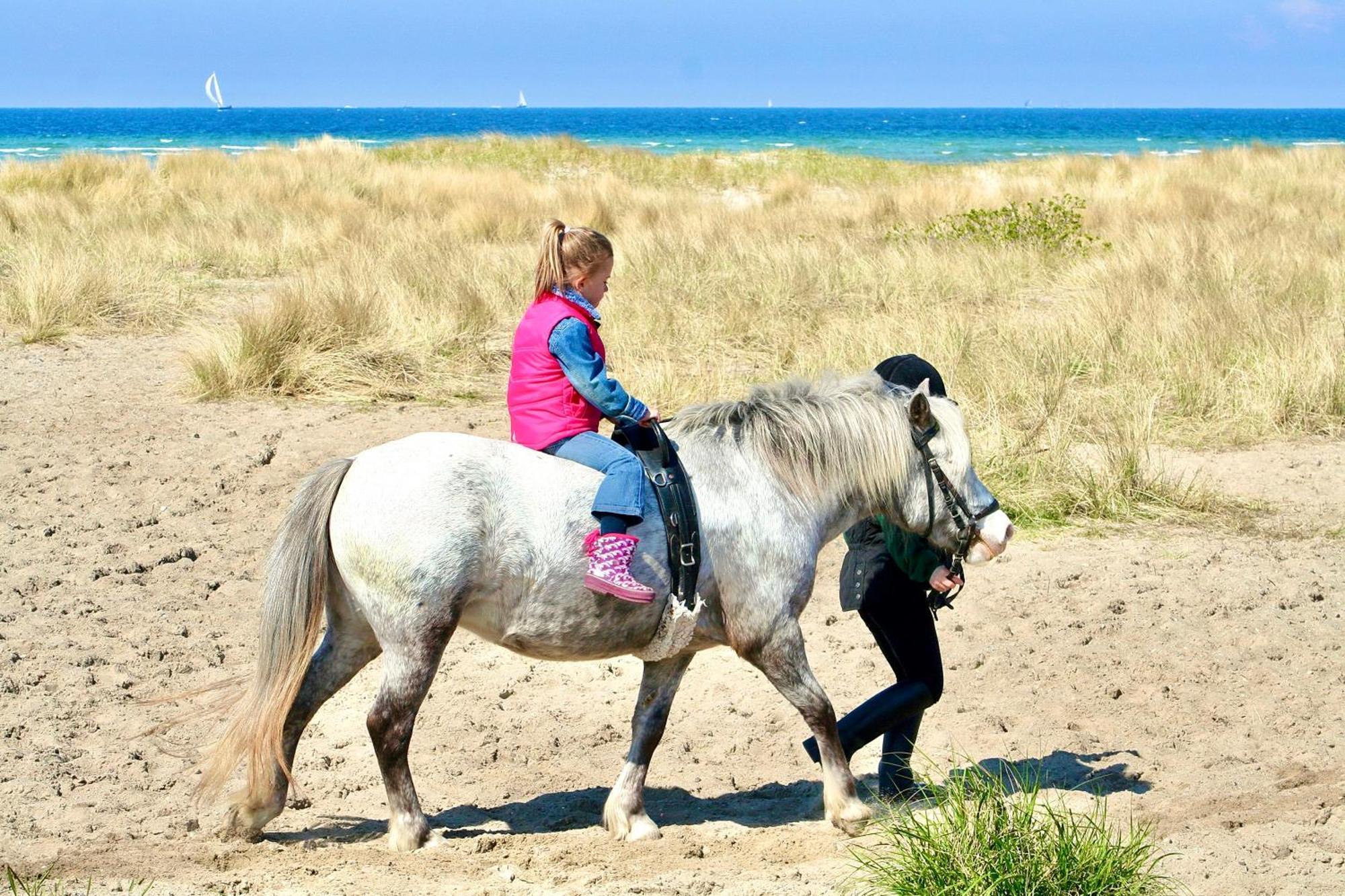 Ferienwohnung Strandliebe Lutterbek Bagian luar foto